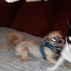 Meet your Posher, Joseph